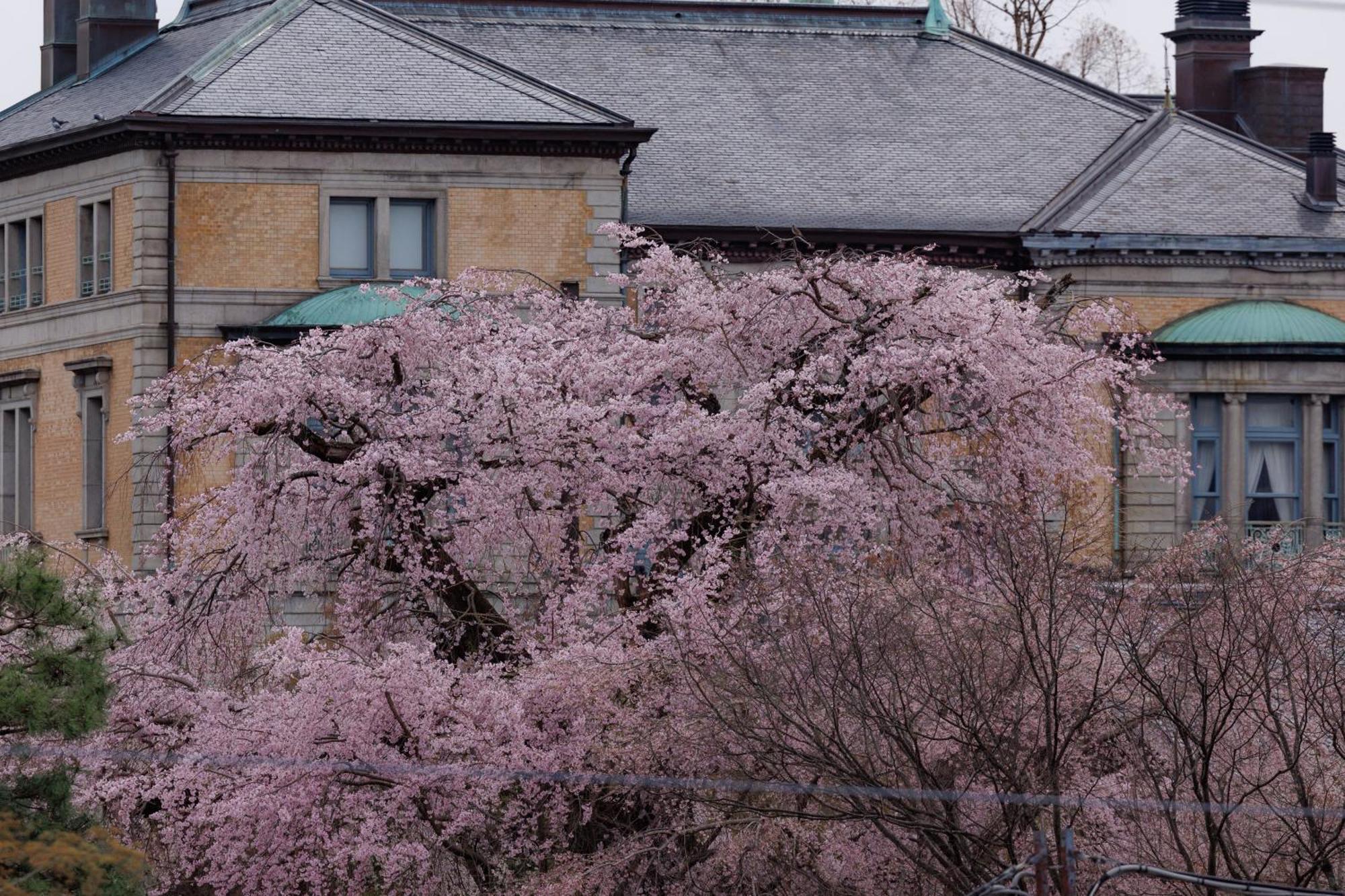 Hotel Chourakukan Kyoto Gion 長楽館 Exterior foto